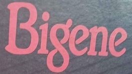 Bigene
